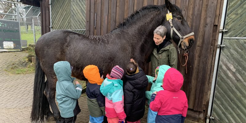 Kindergruppe besucht gemeinsam die Reittherapiepferde auf Gut Holmecke