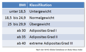 Gut Holmecke Univita - Grafik BMI