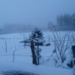 Schnee auf Gut Holmecke_Bild von Tabea Hettler